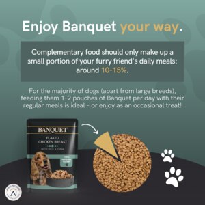 Premium Perfection Dog Food with feeding instructions for optimal nutrition.